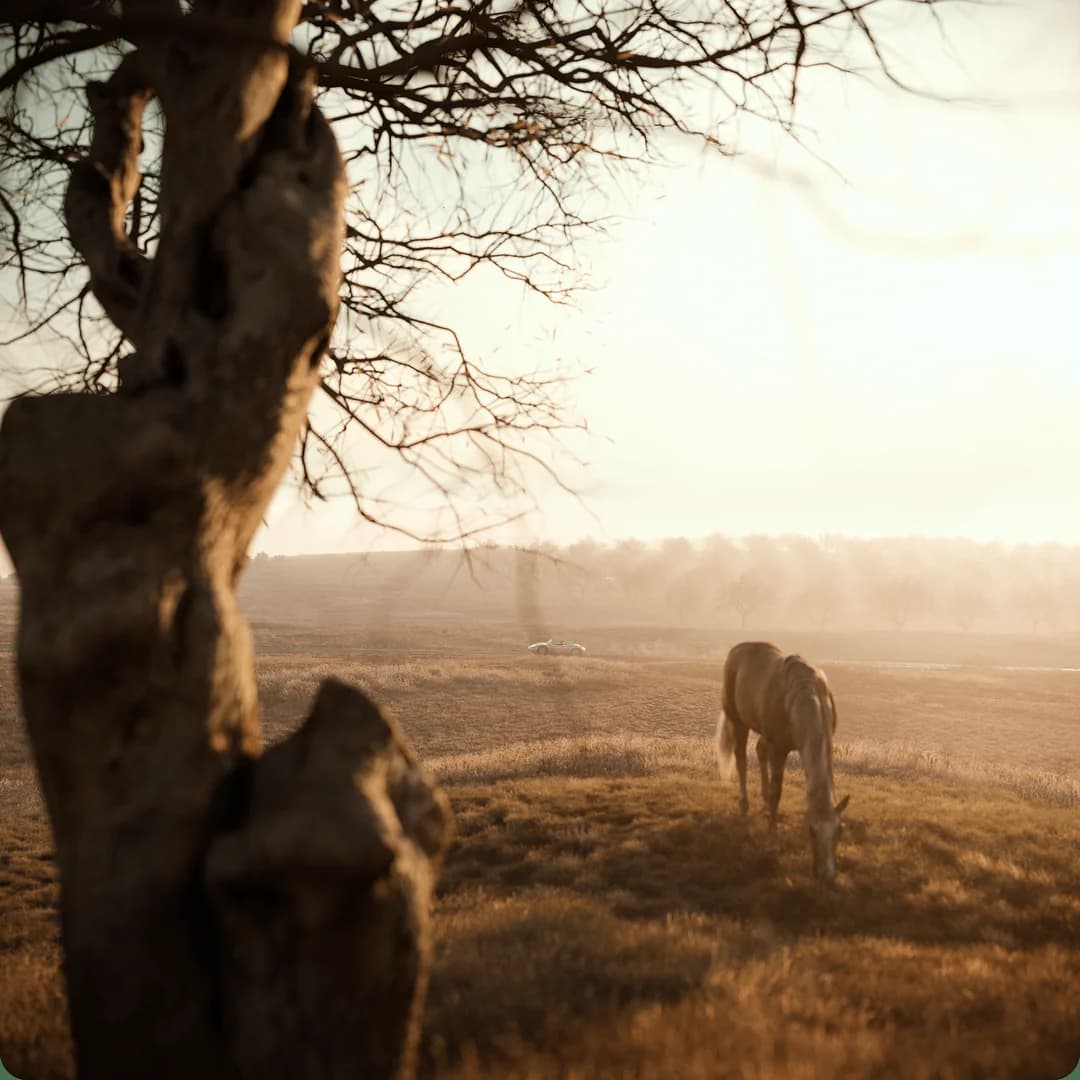 Слияние с природой