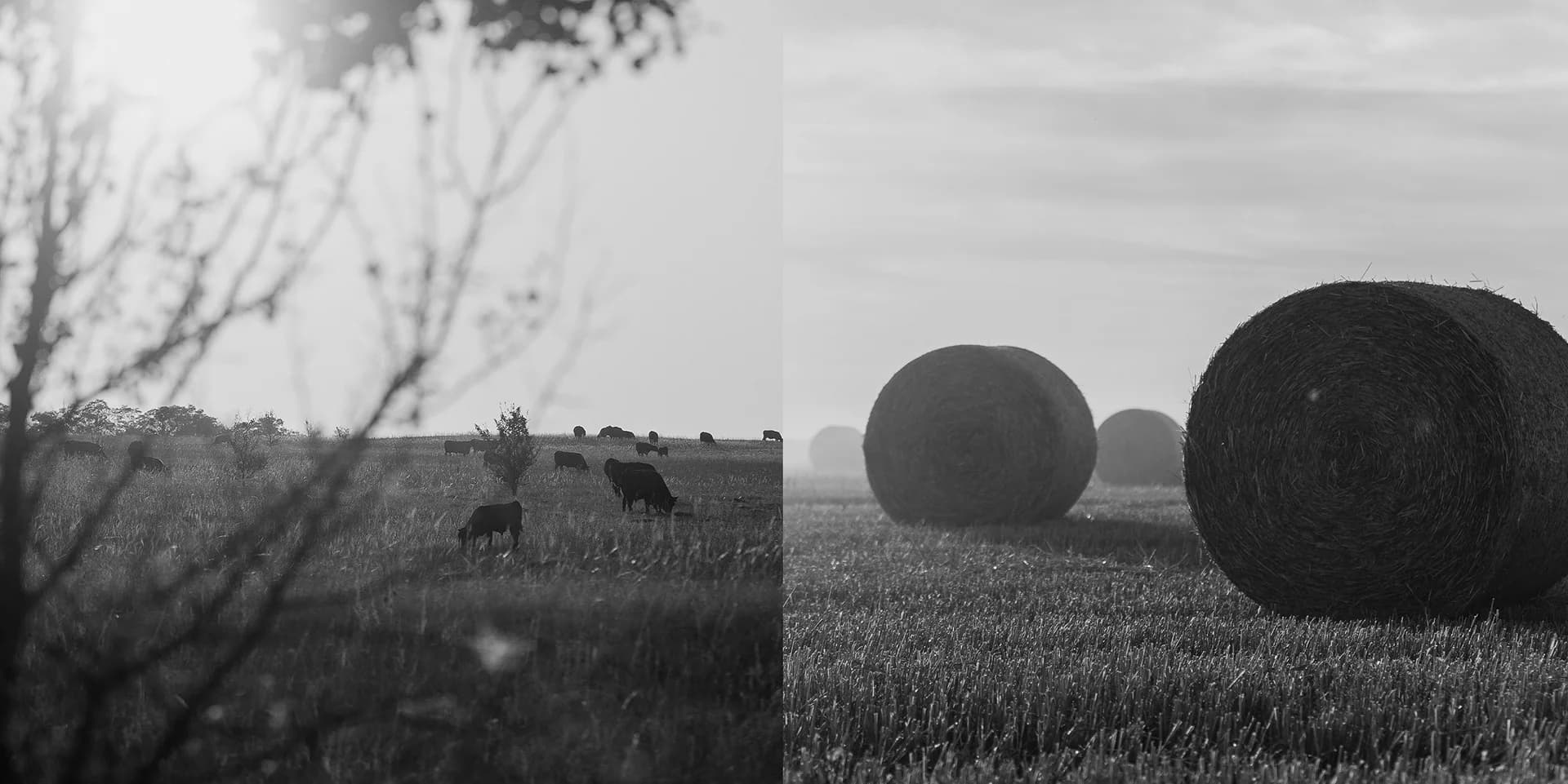 Слияние с природой