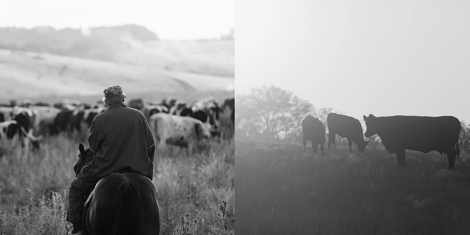 Слияние с природой