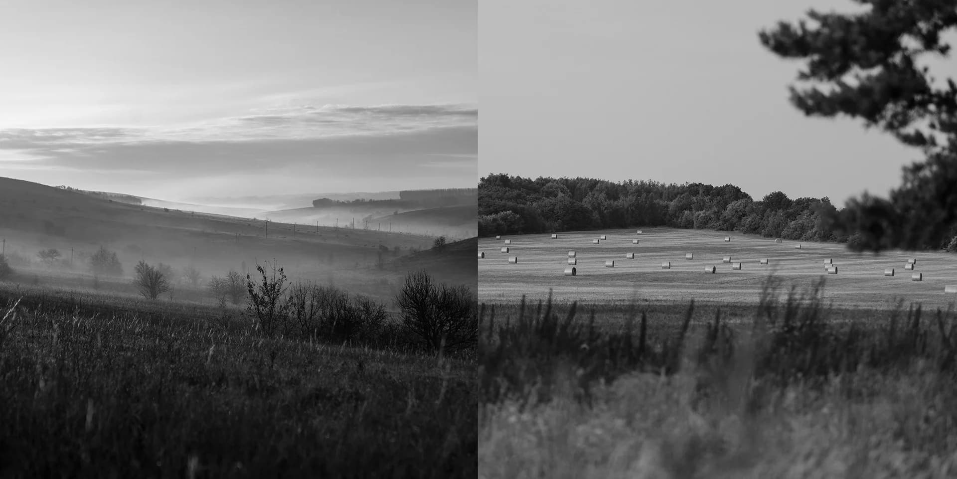 Слияние с природой