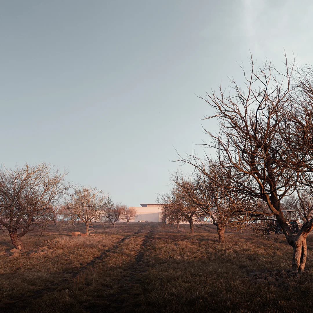 Слияние с природой