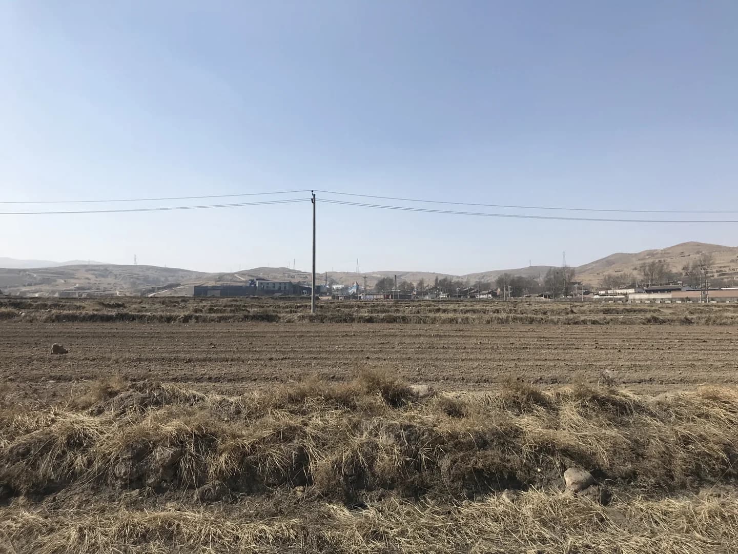 Фабрика овса