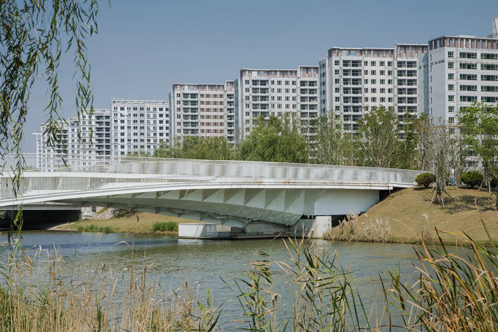 Парки звёздного горизонта