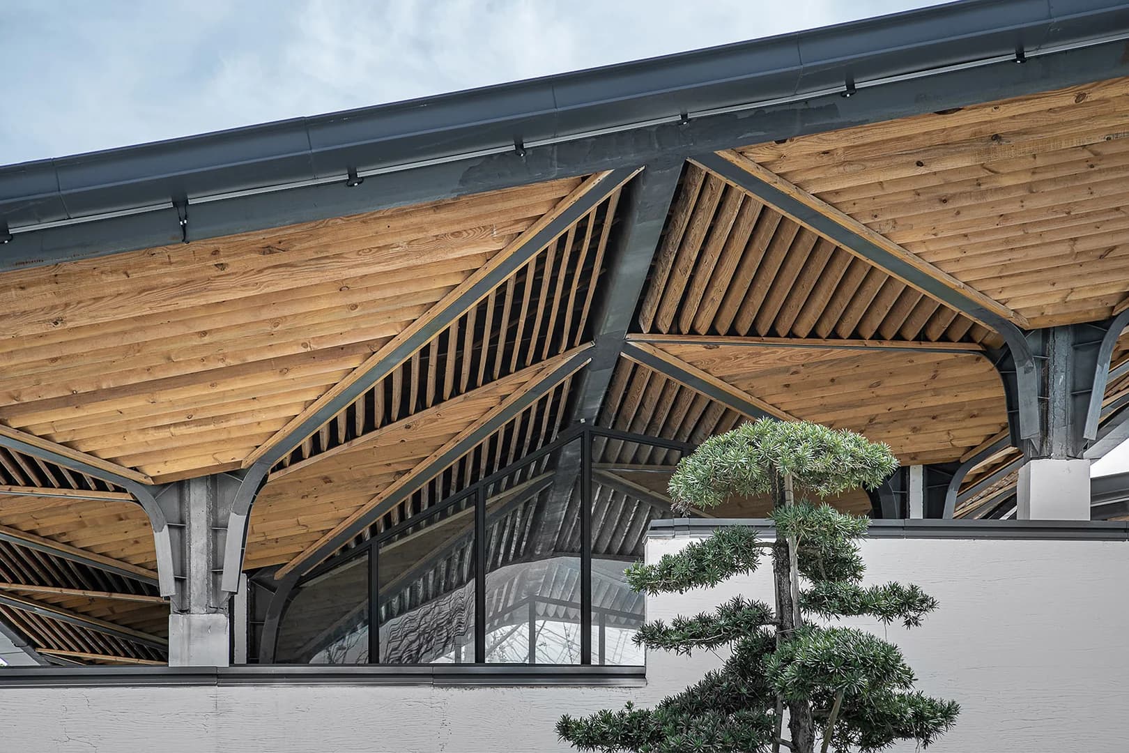 Парк "Уютный уголок на озере Чжан"