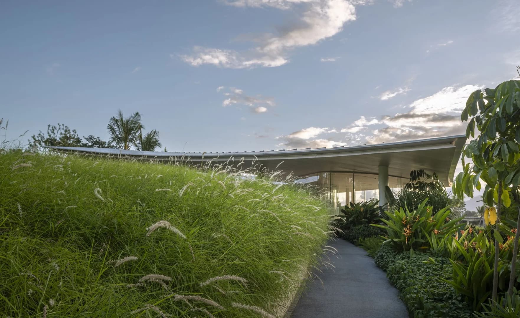 Зеленые просторы "Хайтан Сяо И"