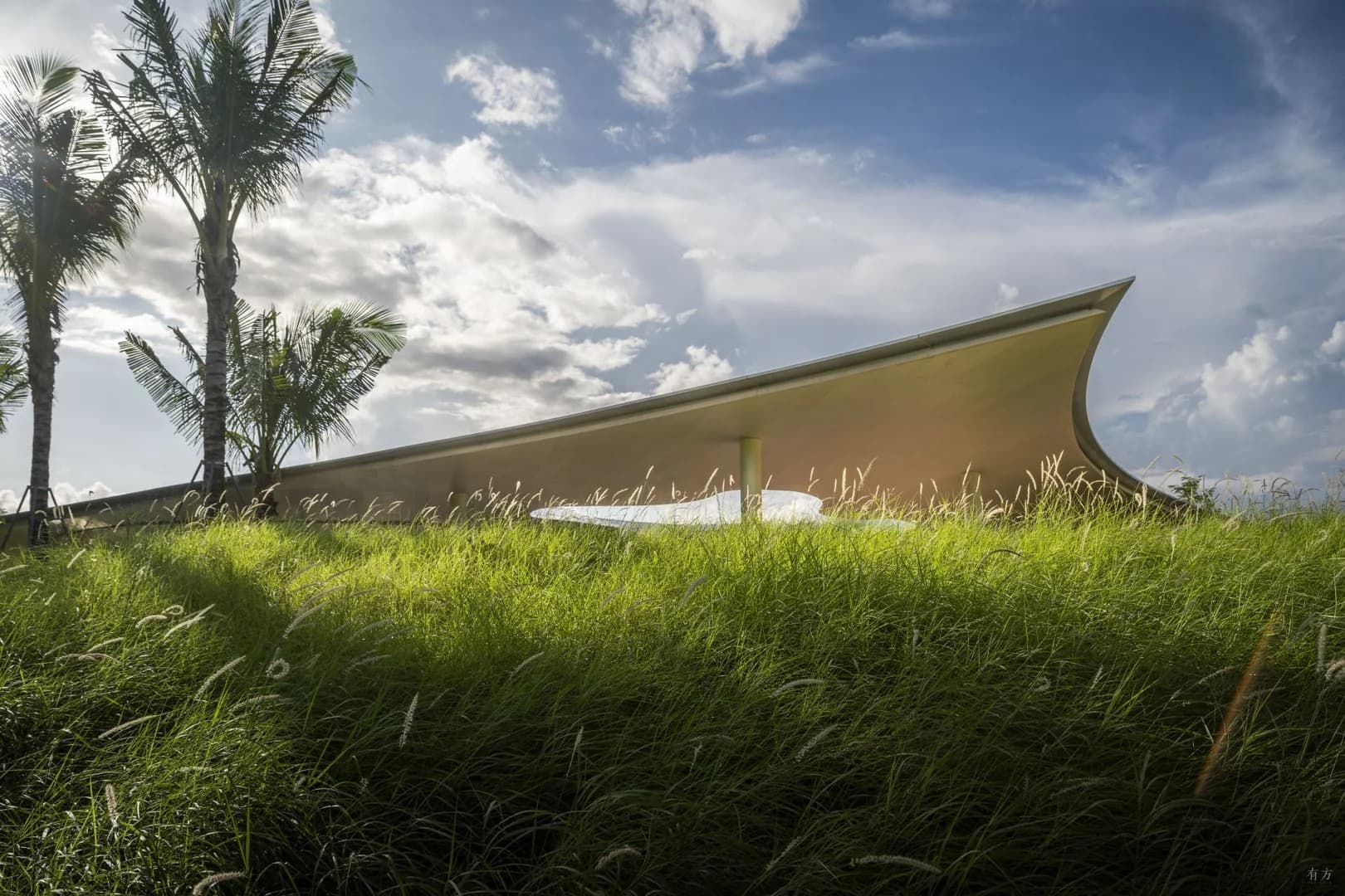 Зеленые просторы "Хайтан Сяо И"