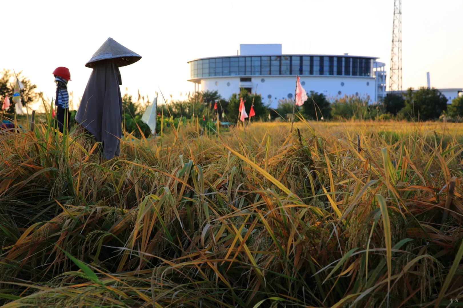 Поэтический ландшафт очистных сооружений