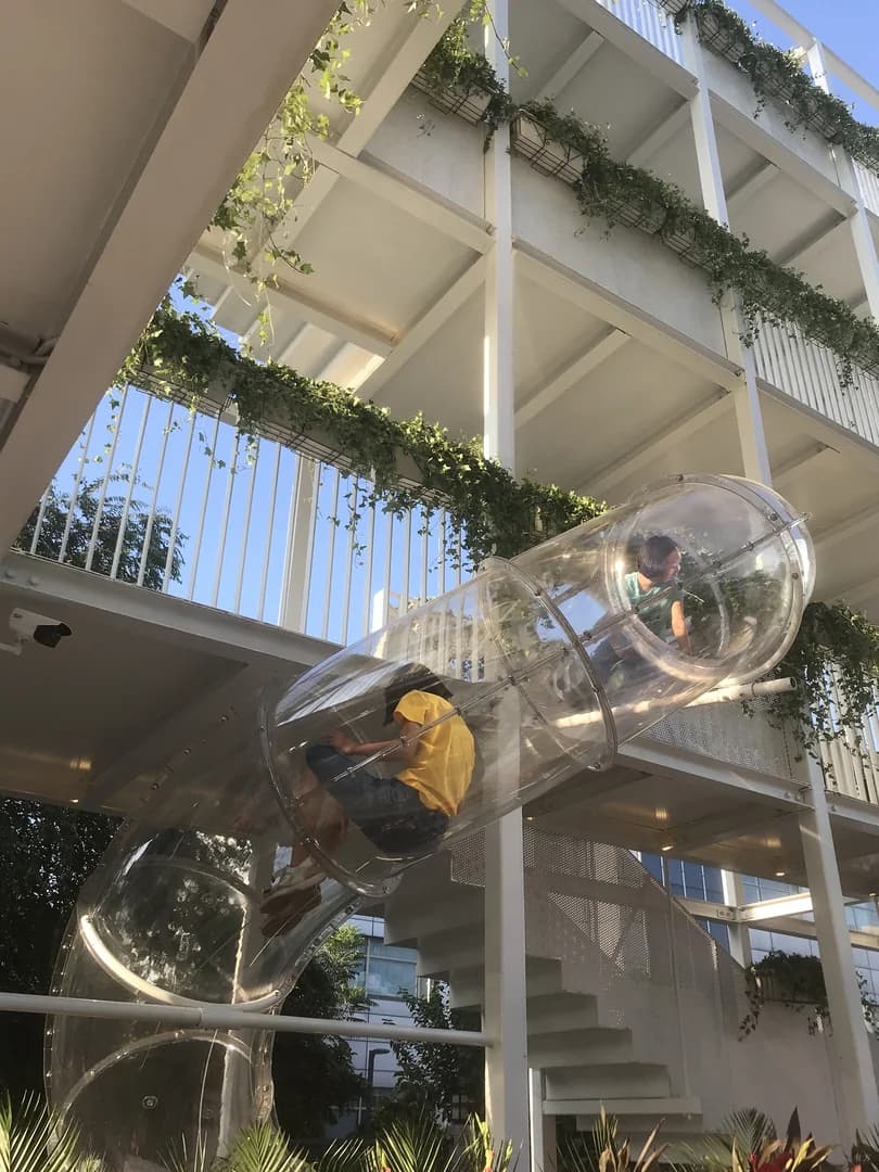 Парк с изгибами