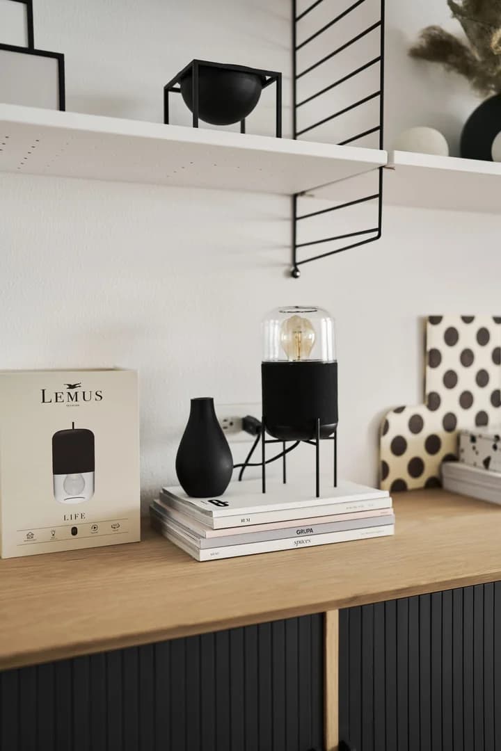 Lynn House: Северное вдохновение