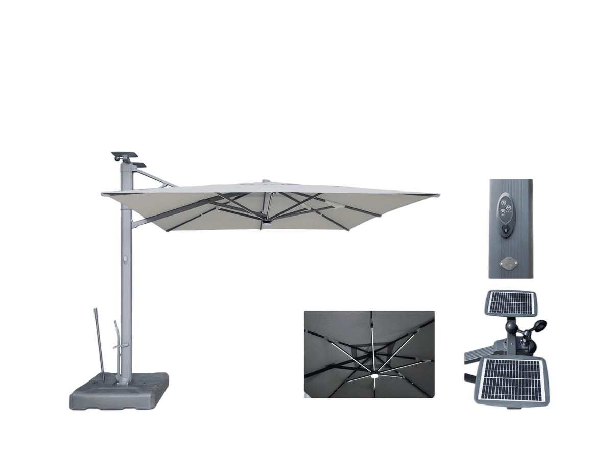 Маркиза электрическая