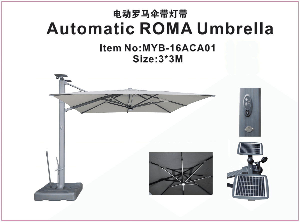 Маркиза электрическая